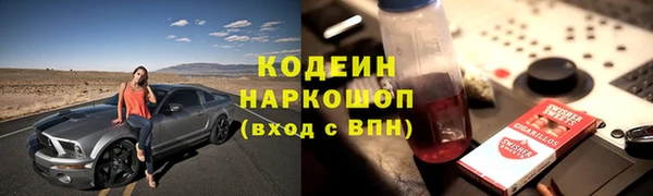 дживик Абаза