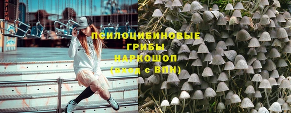 дживик Абаза