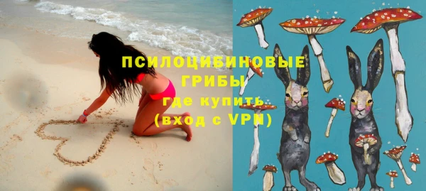 дживик Абаза