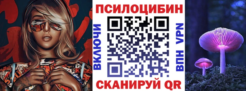 Псилоцибиновые грибы Cubensis кракен онион Серов